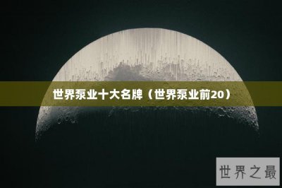 ​世界泵业十大名牌（世界泵业前20）