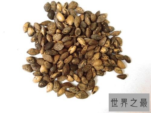 含锌高的食物有哪些,吃这些能显著提高记忆力反应力