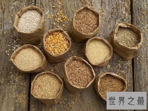 含锌高的食物有哪些,吃这些能显著提高记忆力反应力