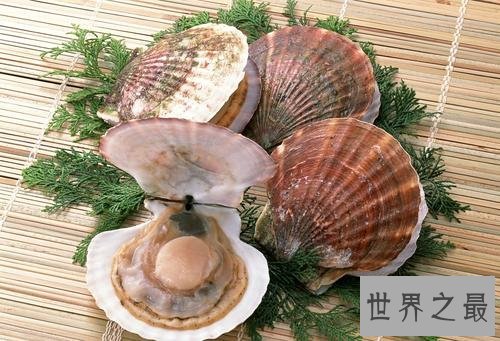 含锌高的食物有哪些,吃这些能显著提高记忆力反应力