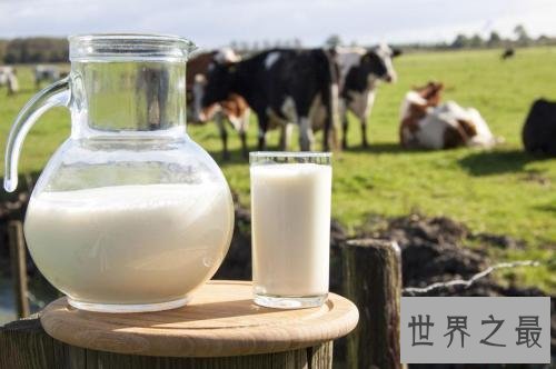 含锌高的食物有哪些,吃这些能显著提高记忆力反应力