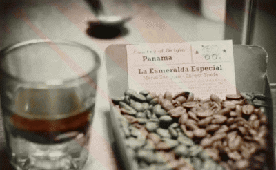 ​世界上最贵的咖啡，第一种350.25美元一磅！