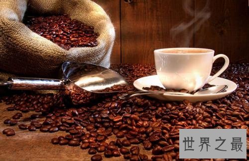 世界上最贵的咖啡,第一种350.25美元一磅!