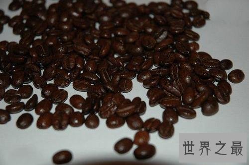 世界上最贵的咖啡,第一种350.25美元一磅!