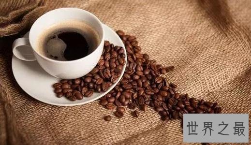 世界上最贵的咖啡,第一种350.25美元一磅!