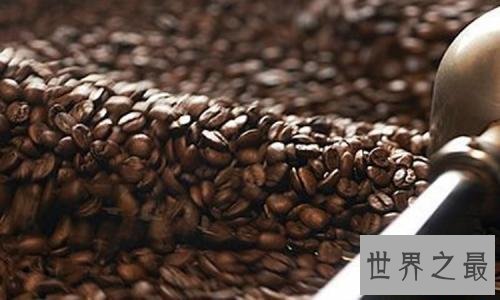 世界上最贵的咖啡,第一种350.25美元一磅!