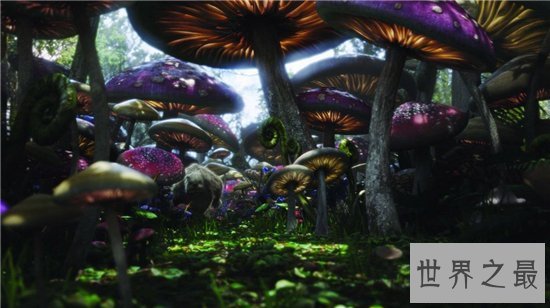 世界十大罕见病,到现在还没有解决的办法!