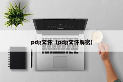 ​pdg文件（pdg文件解密）