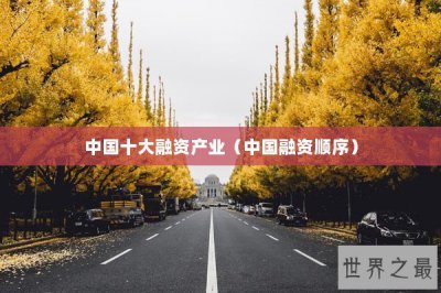 ​中国十大融资产业（中国融资顺序）