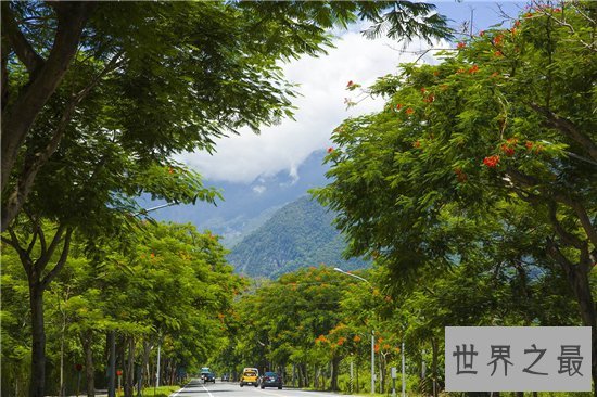 中国十大最美公路,超级惊艳去过才不枉此生!