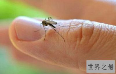 ​蚊子喜欢叮咬什么血型的人，看看你是不是蚊子最喜欢的那个人。