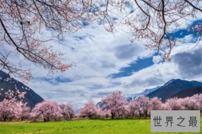 ​国内初冬雪景最美的十大旅游地，初冬浪漫景点汇聚地！