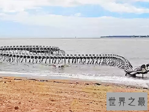 全球十大海滩雕塑排行榜,若隐若现的海蛇像活着的巨蟒一般。
