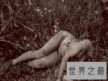 最令人瞠目结舌的十大离奇案件之世界十大悬案