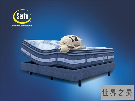 十大名牌床垫排行榜公布，喜临门成最大赢家！