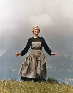 ​音乐之声雪绒花歌词 音乐之声雪绒花中文版