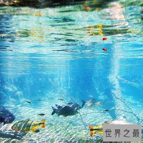 世界十大灵秀水景排行榜，风景如画的碧海蓝湖排倒数