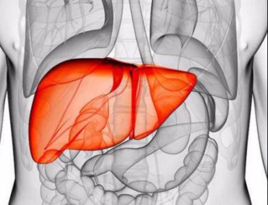 ​养肝女人吃什么食物好 女性养肝吃点什么药最好