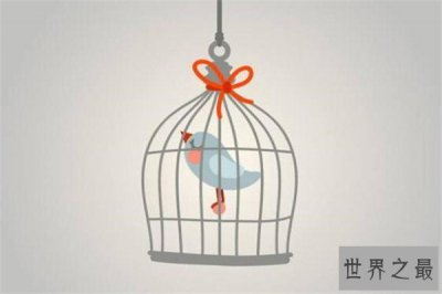 ​世界最著名十大心理学效应 木桶定律你了解吗