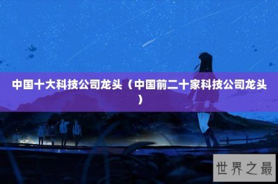 ​中国十大科技公司龙头（中国前二十家科技公司龙头）