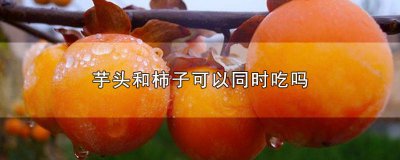 ​芋头和柿子可以一起吃吗 芋头和柿子可以一起煮吗