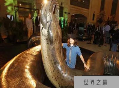 ​世界上什么蛇最大