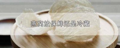 ​燕窝应该放保鲜还是冷藏 燕窝要冷冻保存还是冷藏保存