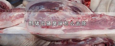 ​野猪腥味怎么去除 怎么能去掉猪肉的腥味