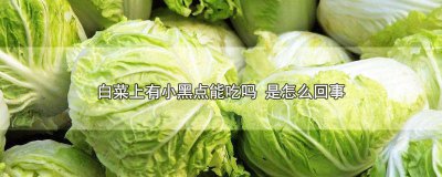 ​白菜上有小黑点儿能吃吗 大白菜上有很多小黑点能吃吗