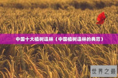 ​中国十大植树造林（中国植树造林的典范）