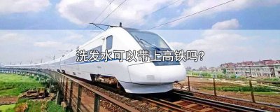 ​高铁能带洗发水吗800ml 高铁能带洗发水吗400ml