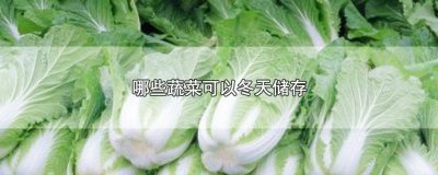 ​冬天能储藏的蔬菜和水果 冬天适合储藏的蔬菜