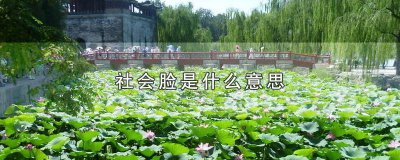 ​什么脸的作文 什么什么的脸的作文