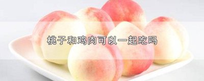 ​桃子能和鸡肉一起吃吗 桃子鸡肉能一起吃吗冰糖