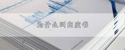 ​为什么叫白皮书的封皮是白色 为什么叫白皮书或者叫兰皮书
