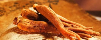 ​西洋参可以与蜂蜜一起泡水喝吗 蜂蜜可以和西洋参一起泡水喝吗