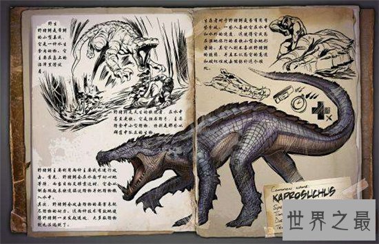 猪鳄是一种史前鳄鱼，通过化石考古发现它们的存在