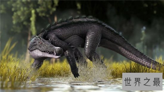 猪鳄是一种史前鳄鱼，通过化石考古发现它们的存在