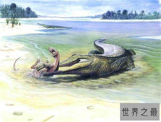 猪鳄是一种史前鳄鱼，通过化石考古发现它们的存在