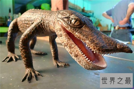 猪鳄是一种史前鳄鱼，通过化石考古发现它们的存在