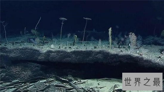 世界上最深的海沟，传说中的马里亚纳海沟