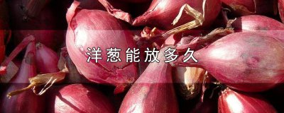 ​洋葱在冰箱可以放多久 洋葱冰箱冷藏可以放多久