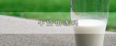 ​伊利纯牛奶冰冻好喝吗 伊利纯牛奶冻了还能吃了吗