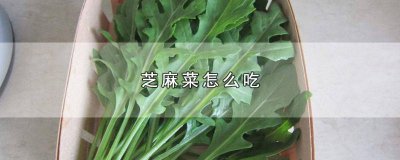 ​芝麻香菜怎么吃最好 芝麻菜怎么吃最好吃呢视频