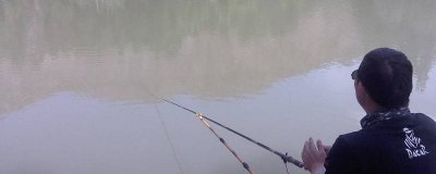 ​3米水深钓鲫鱼 水深三米怎么钓鲫鱼技巧视频