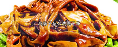 ​鸡肠子怎么洗得干净没有异味 鸡肠子怎么洗得干净