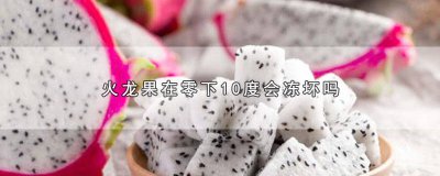 ​火龙果0度为冻死吗能吃吗 火龙果零度以下会冻死吗