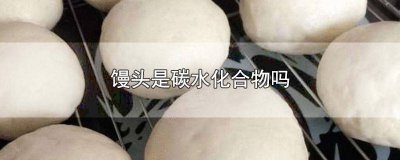 ​馒头有碳水化合物 馒头都是碳水化合物