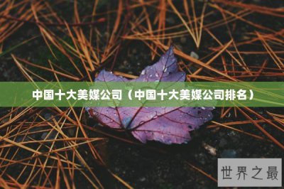 ​中国十大美媒公司（中国十大美媒公司排名）