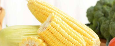 ​玉米要放冰箱吗 即食玉米要放冰箱吗